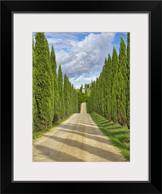 Italy, Tuscany, Road Lined With Italian Cypress Leading To A Villa