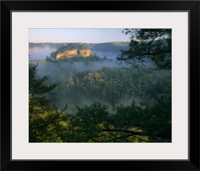 Kentucky, Fog at sunrise, Red River Gorge. Daniel Boone National Forest
