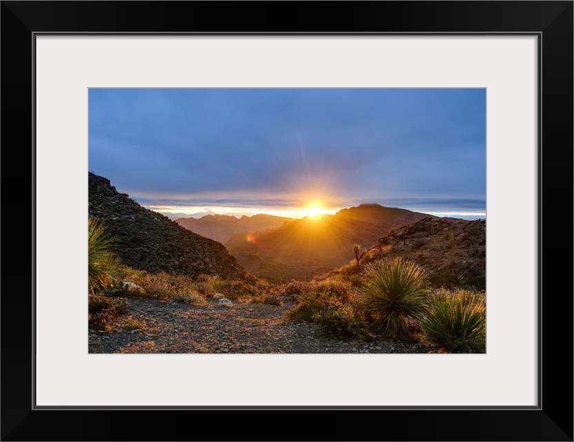 Mexico, Baja California Sur, Sierra de San Francisco. Desert sunrise from a mountain pass.