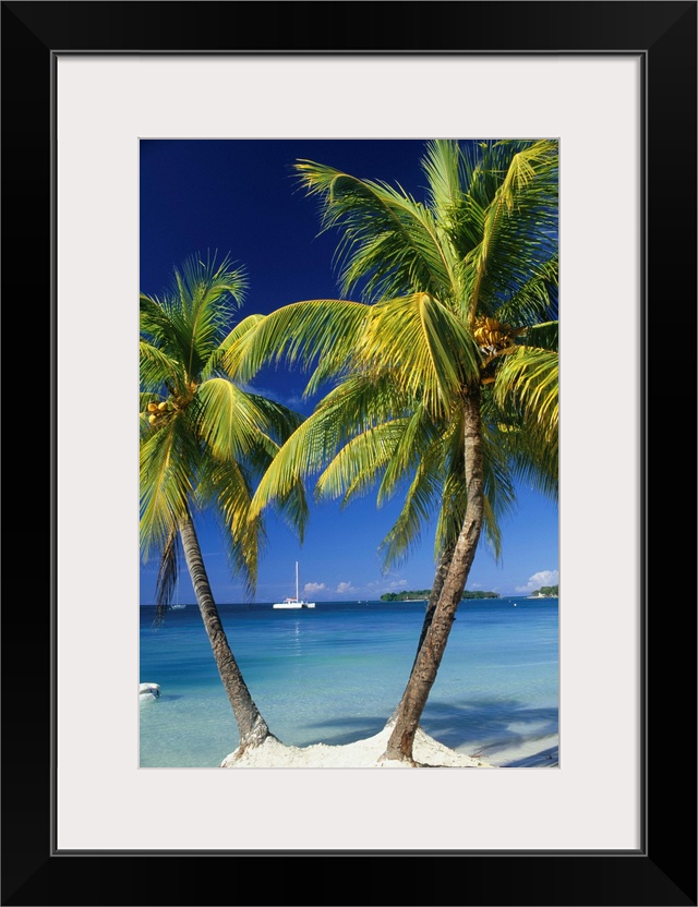 Negril, Jamaica, West Indies. Three palm trees at the edge of the blue sea with catamaran pleasure boat.