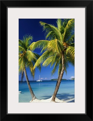 Negril, Jamaica, three palm trees at the edge of the blue sea with catamaran