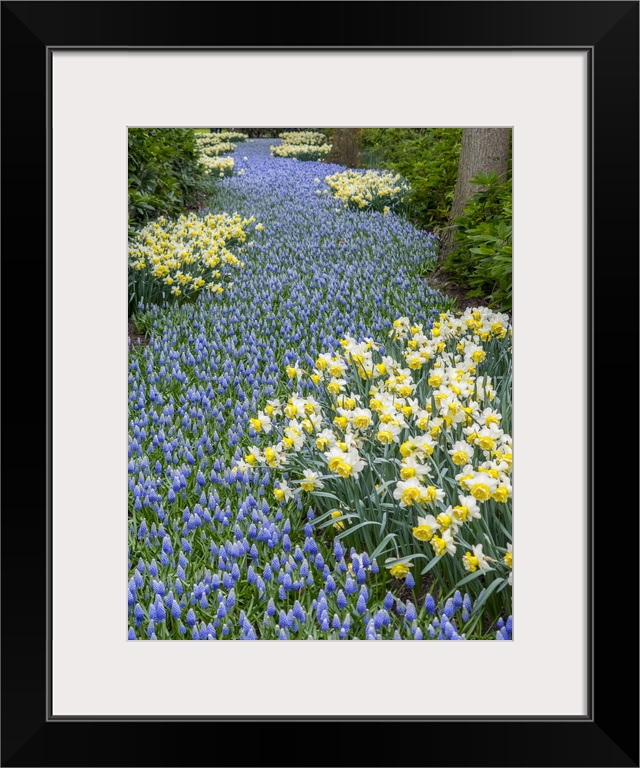 Netherlands, Lisse. Flower displays at Keukenhof Gardens.