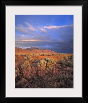 Nevada, Denio. Sunset light colors the sagebrush and the hillsides in the Nevada desert