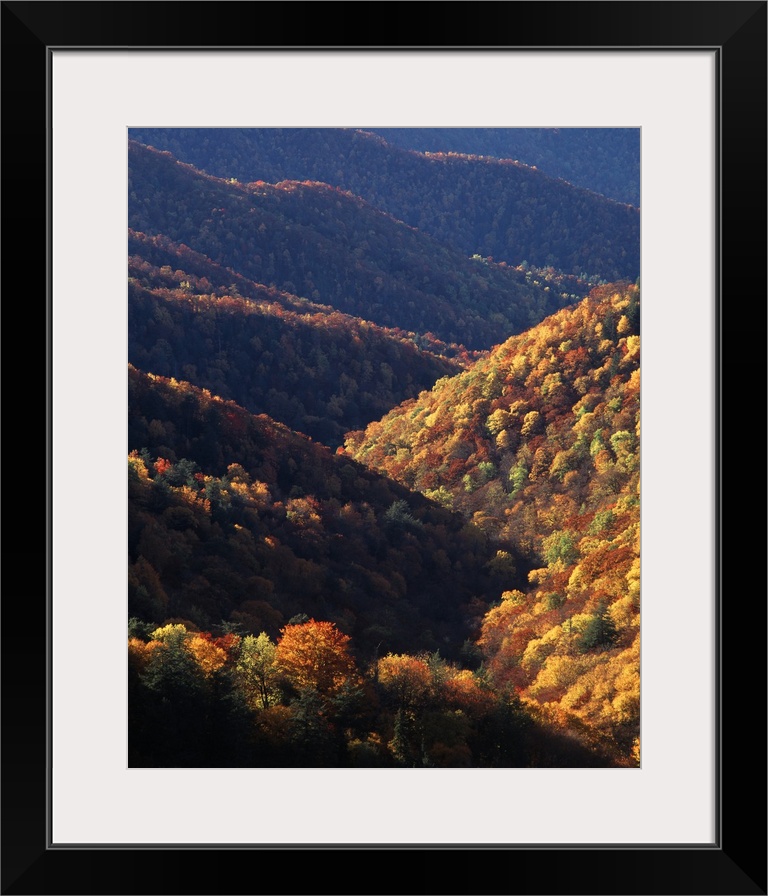 USA, North Carolina, View of Great Smoky Mountains National Park