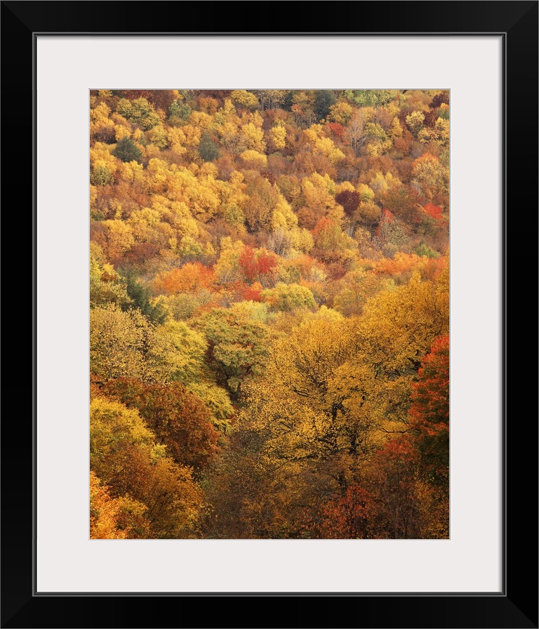 USA, North Carolina, View of Great Smoky Mountains National Park in autumn from Thomas Ridge