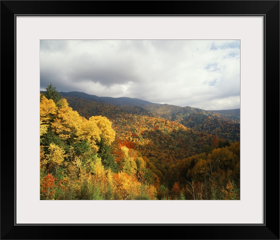 USA, North Carolina, View of Great Smoky Mountains National Park in autumn from Thomas Ridge