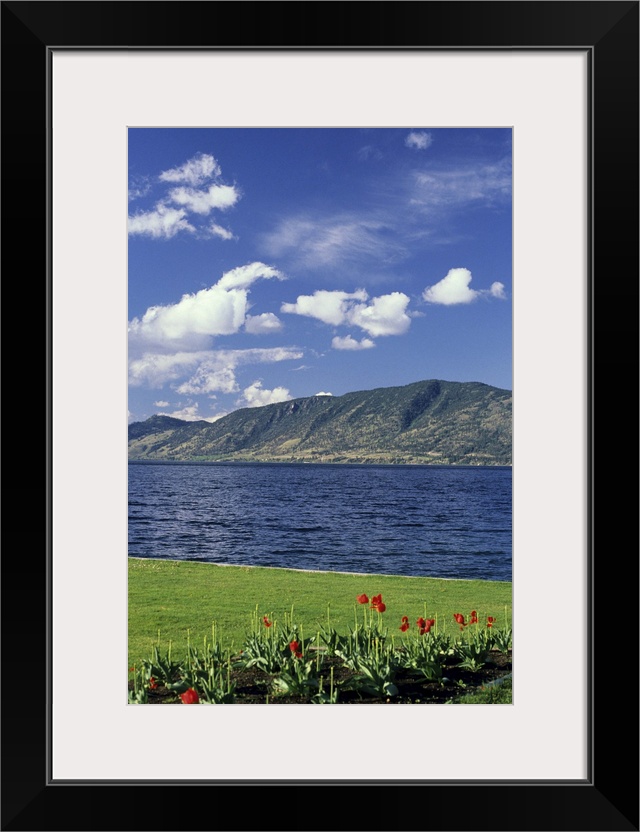 Okanagan Lake near Kelowna, British Columbia...okangan lake, water, kelowna, british columbia, canada, grass, clouds, tuli...