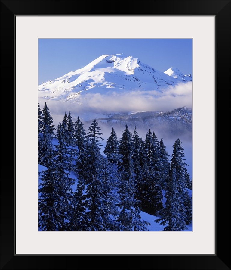 USA, Oregon, Deschutes National Forest, South Sister