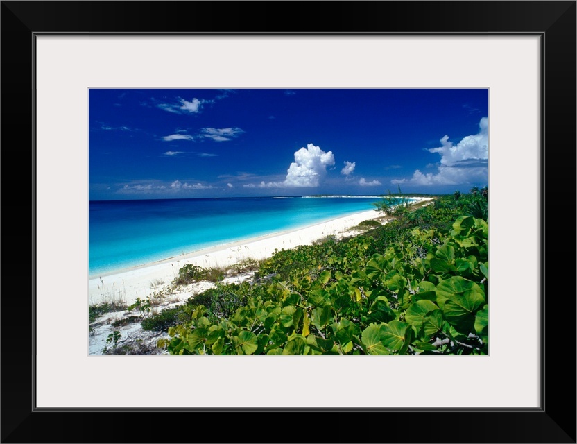 Pristine beach on Conception Island, Long Island, Bahamas.