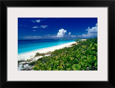 Pristine beach on Conception Island, Long Island, Bahamas