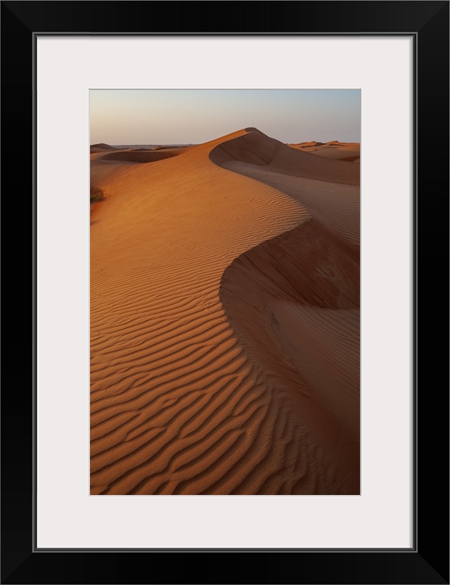 Rippled dunes in the Wahiba Sands at sunset. Wahiba Sands, Arabian Peninsula, Oman.