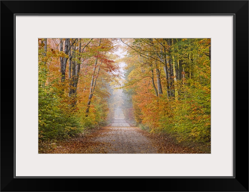 Road in fall color Schoolcraft County Upper Peninsula Michigan