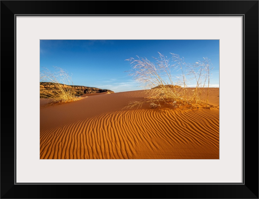 Sand Dunes And Grass, Coral Pink Sand Dunes State Park, Kane County, Utah, USA