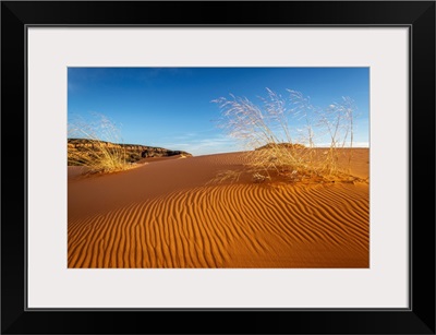 Sand Dunes And Grass, Coral Pink Sand Dunes State Park, Kane County, Utah, USA