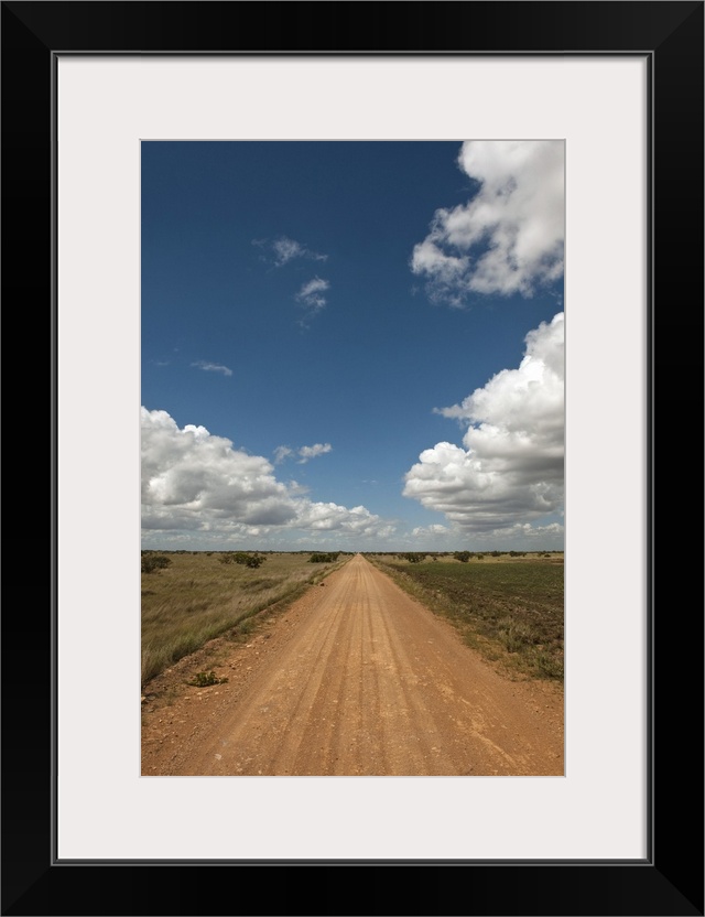 Savannah Scenic, Rupununi, Guyana, dirt road, South America.