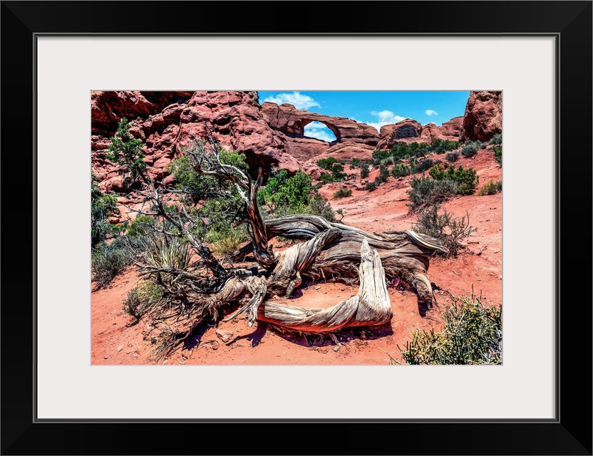 Skyline Arch, Arches National Park, Moab, Utah, USA.