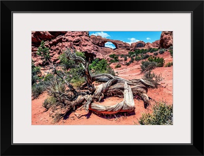 Skyline Arch, Arches National Park, Moab, Utah, USA