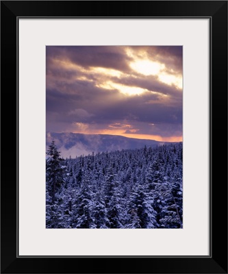 Sunrise over a snow covered forest in the Mt Hood National Forest, Oregon Cascades