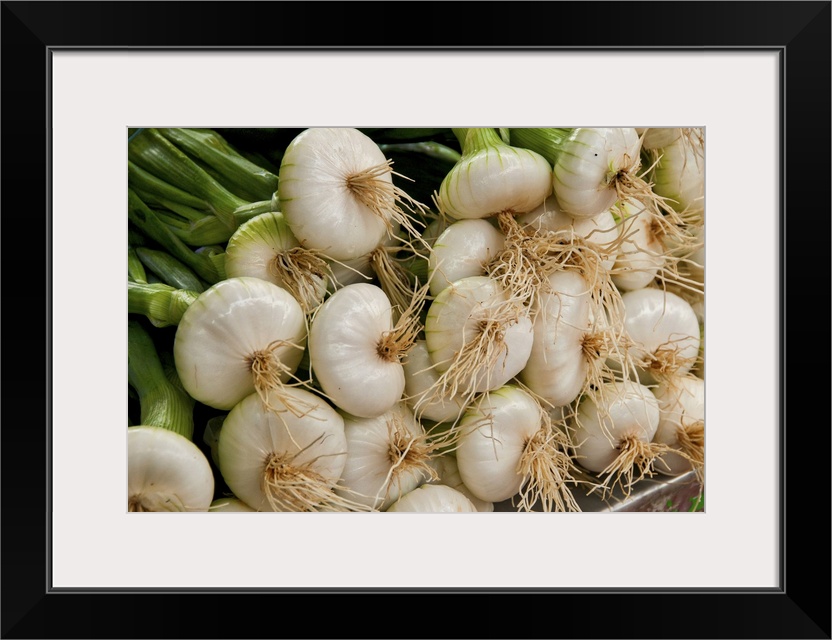 Tender Green onions are perfection at this farmers' market in the French village of Louhans. Europe, France.