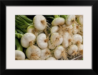 Tender Green Onions At This Farmers' Market In The French Village Of Louhans