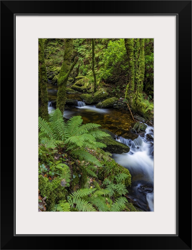 Torq Creek in Killarney National Park.