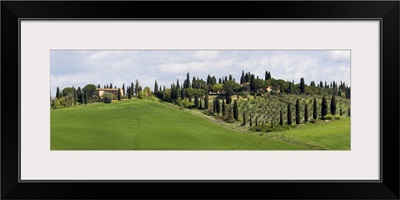 Tuscany Landscape With Farm, Cypress And Olive Trees, Tuscany, Italy