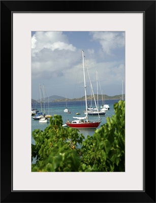 US Virgin Islands, St. John, Cruz Bay, Boats in the harbor