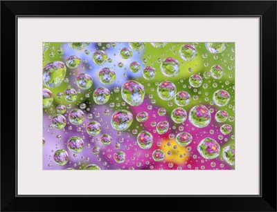 USA, Washington State, Seabeck, Flowers Reflected In Water Drops