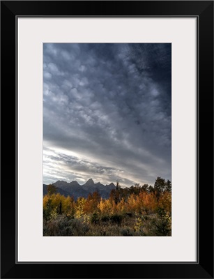 USA, Wyoming, Autumn Evening Near Black Tail Butte, Grand Teton National Park