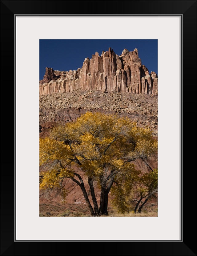 USA, Utah. The Castle, geological features and autumn foliage, Capitol Reef National Park.