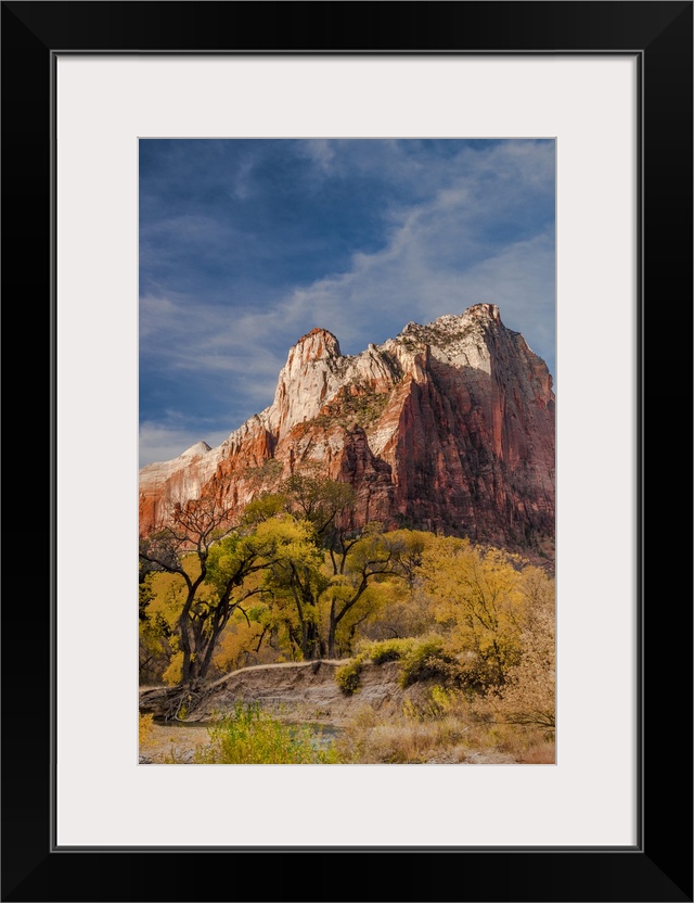 North America, USA, Utah, Zion National Park.  Autumn foliage in front of the Sentinel in  Zion National Park, UT