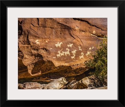 Ute Indian Petroglyphs, Arches National Park, Moab, Utah, USA, Created 1650 To 1850 Ad