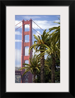 View of the Golden Gate Bridge with Palm trees from the Presidio in San Francisco
