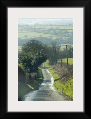 Wales, narrow road leading down hillside in spring