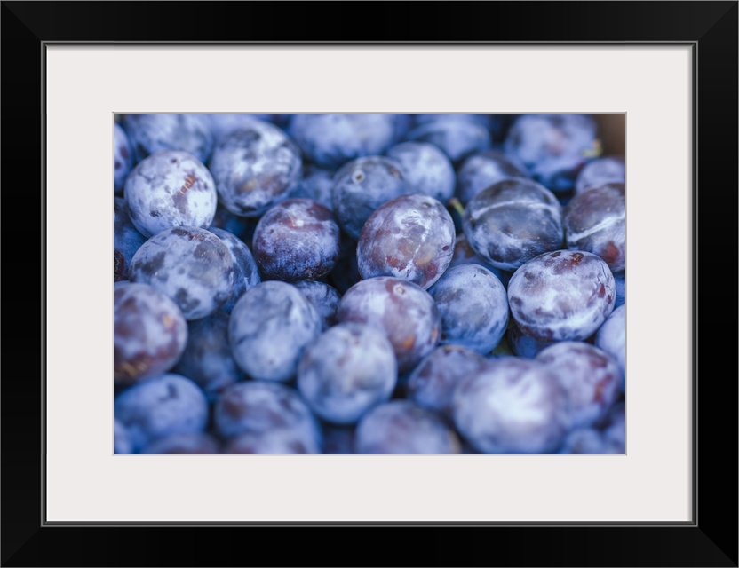 Washington, Chelan County, Plums (selective focus).