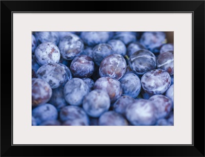 Washington, Chelan County, Plums