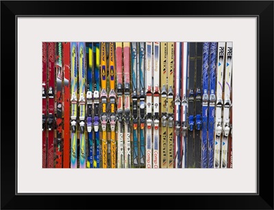 Washington, Glacier, Ski Fence, at the Glacier Ski Shop