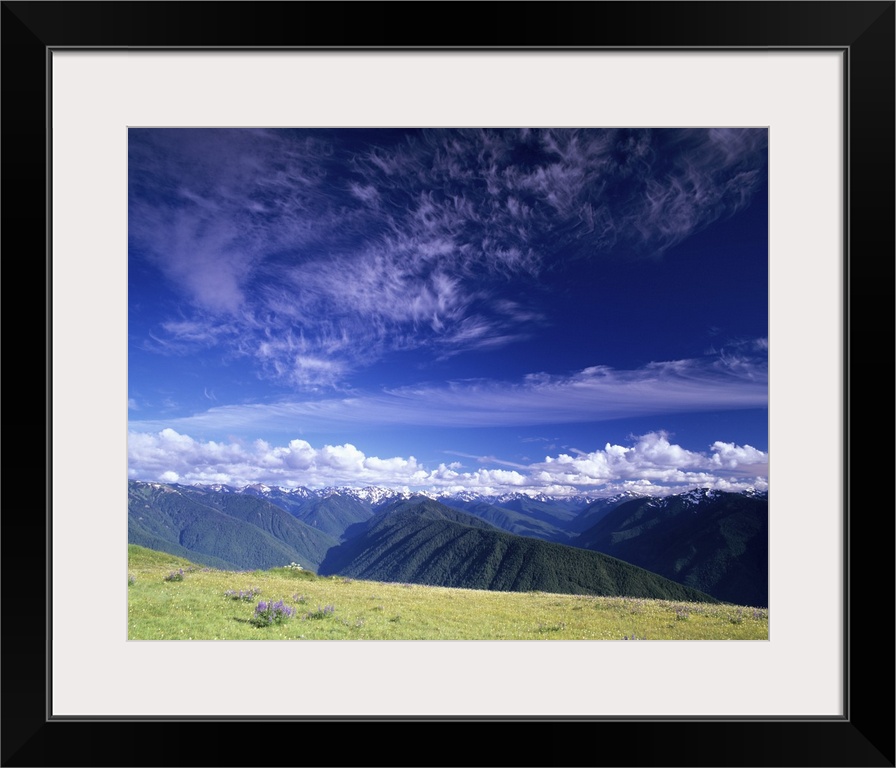 Washington Olympic National Park, Olympic Mountain Range, view from Hurricane Ridge.