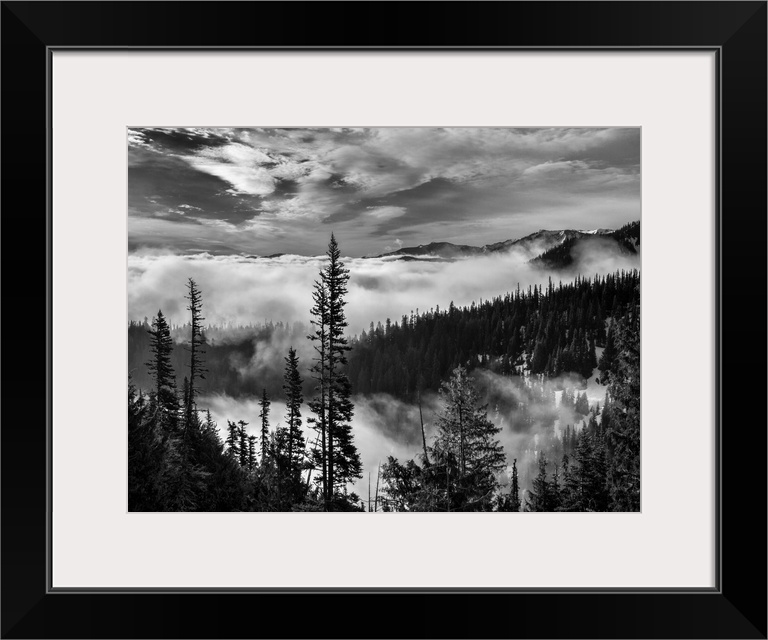 USA, Washington, Olympic National Park, View northeast from road to Hurricane Ridge