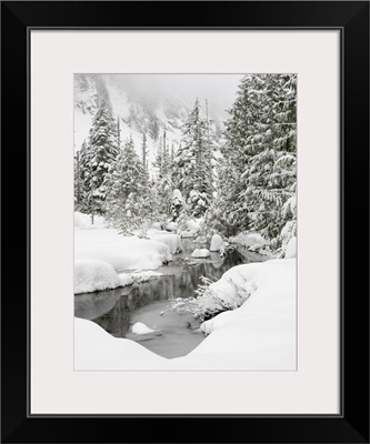 Washington State, Central Cascades, Granite Creek Winter Scene