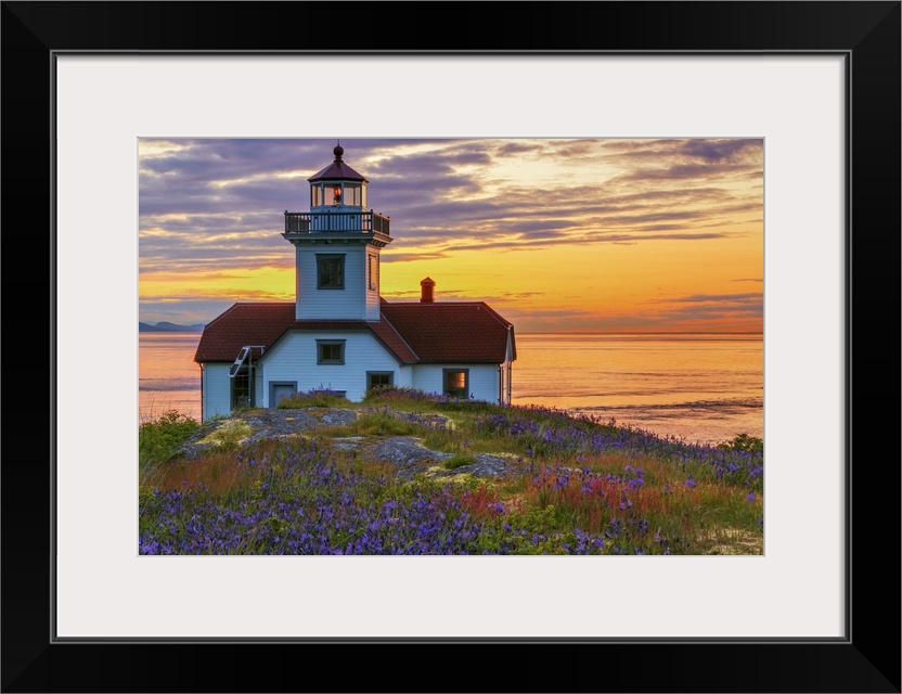 USA, Washington, San Juan Islands. Patos Lighthouse and camas flowers at sunset.