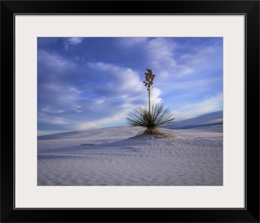 White Sands National Park.