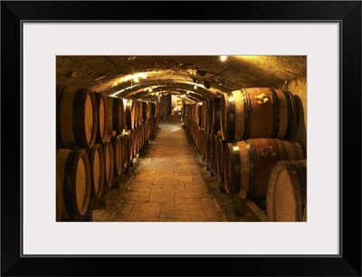 Wooden barrels with aging wine in the cellar of Guigal in Ampuis, Cote Rotie, France