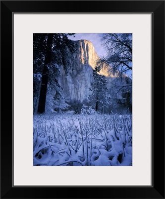 Yosemite National Park, California. Morning light on El Capitan
