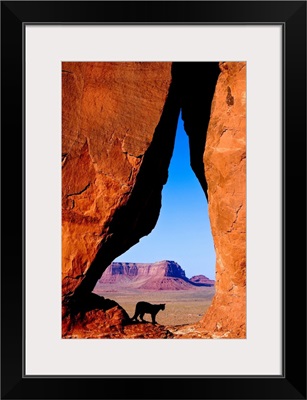 Teardrop Arch Frames A Mountain Lion