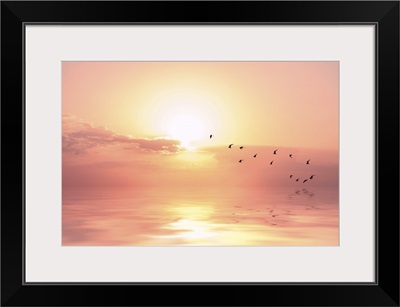 Beautiful Sky On Sunset Or Sunrise With Flying Birds To The Sun