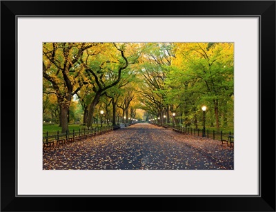 Central Park In Autumn