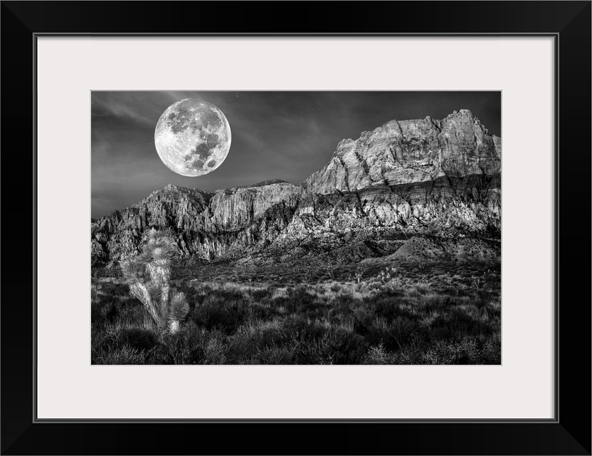 Monochrome of desert mountains and Joshua trees under a full moon.