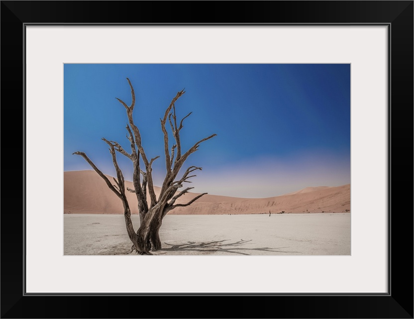 Deadvlei in the Namib desert of Namibia is a dry landscape surrounded by high dunes, the cracked earth is broken by dead c...