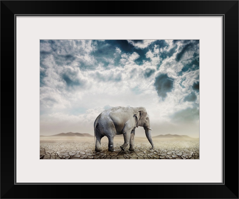 Elephant In The Desert